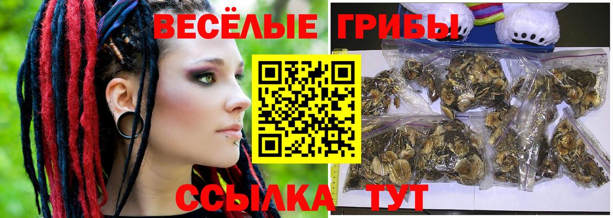 Владимир  Галлюциногенные грибы Cubensis  Псилоцибиновые грибы GOLDEN TEACHER  Вход с VPN 